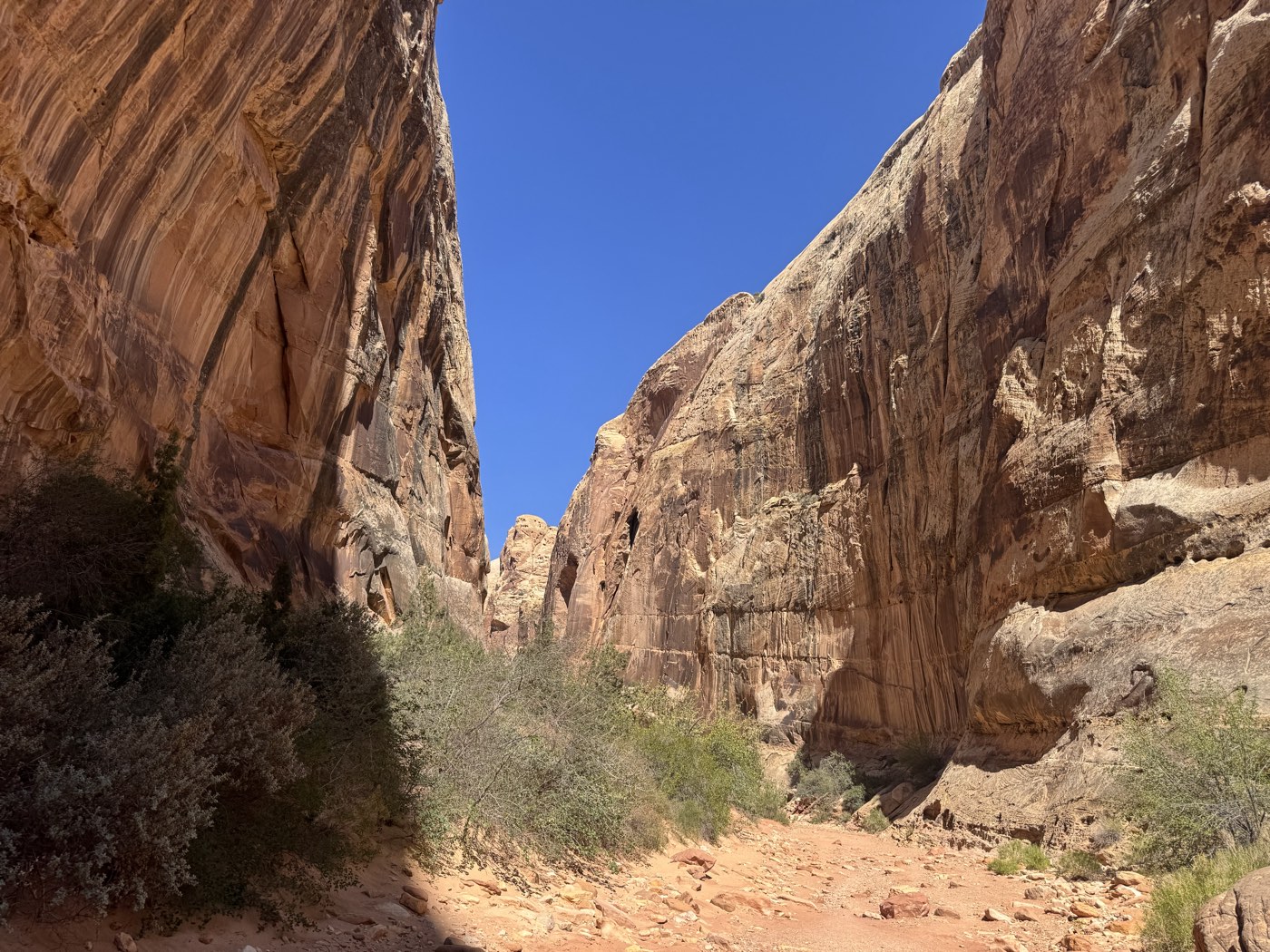 Capitol Reef