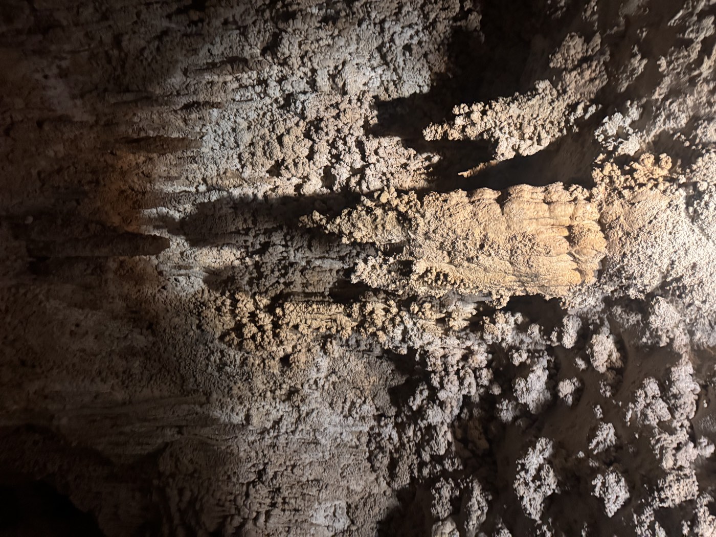 Carlsbad Caverns