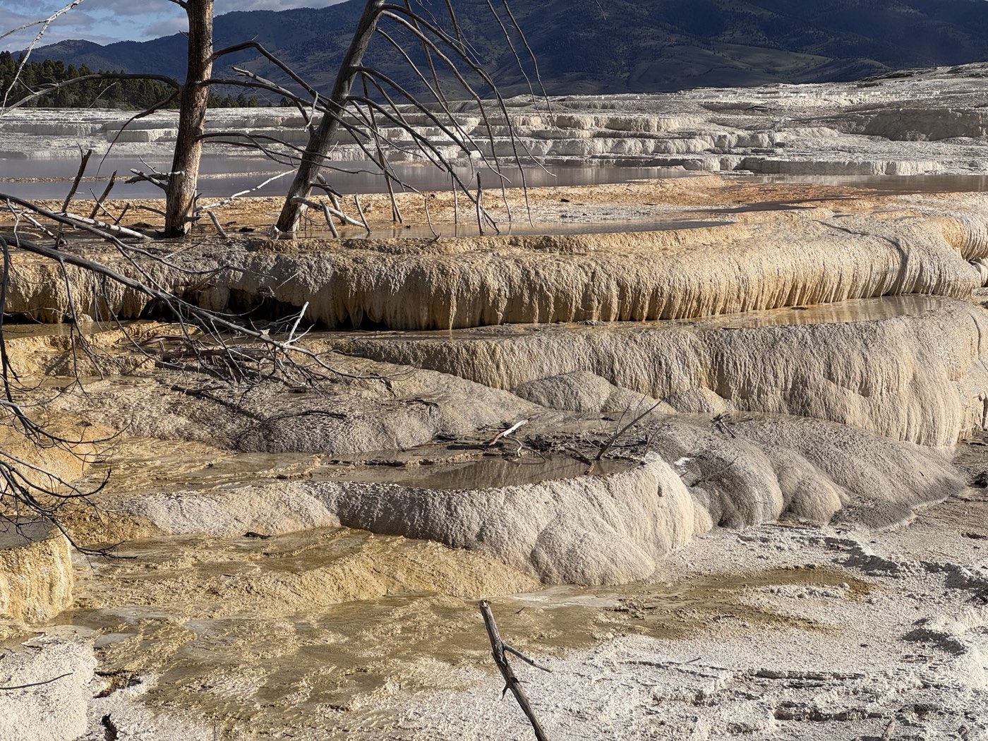 Mammoth Hot Springs