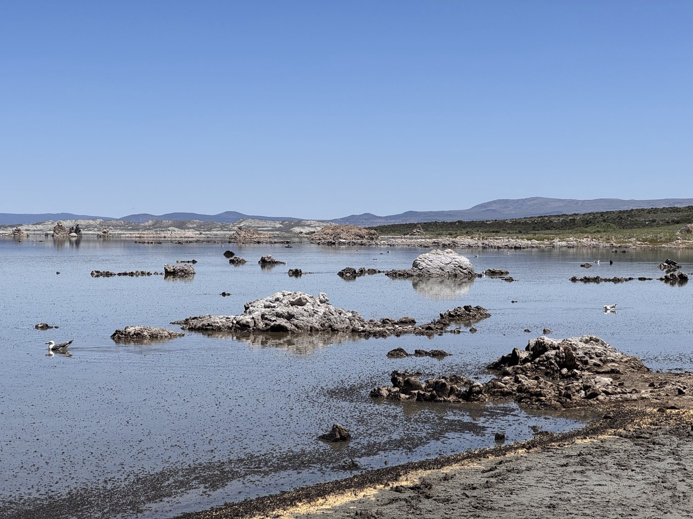 Mono Lake