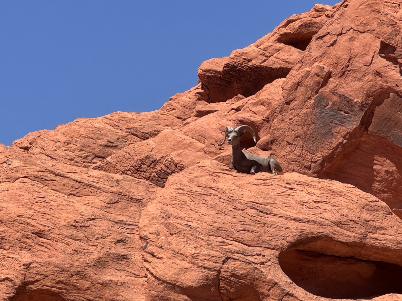 Valley of Fire